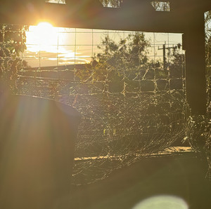 Late Afternoon Spotify playlist cover art