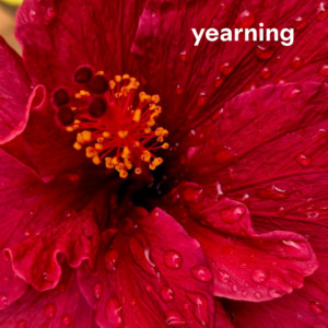 yearning