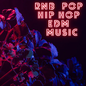 RNB / POP / HIP HOP / EDM / MUSIC cover
