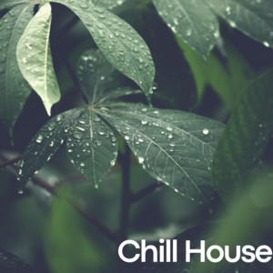 Chill House cover