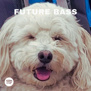 Future Bass/Melodic EDM 2025 cover