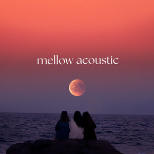 Mellow acoustic  playlist cover