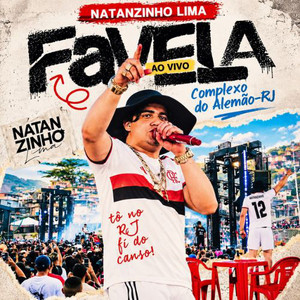 CHUVA DE ARROZ ROSAS NO BUQUÊ NATANZINHO LIMA - INSTINTO NATANZINHO LIMA playlist cover