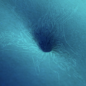 Re🗽Ggae