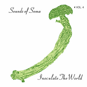 Sounds of Soma Vol. 4 - playlist by Inoculate The World | Spotify