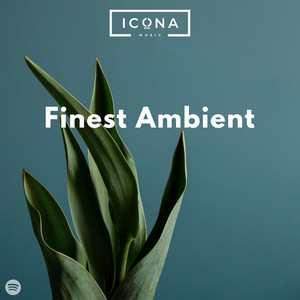 Finest Ambient cover