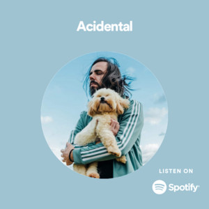 ACIDENTAL (Complete Releases) cover