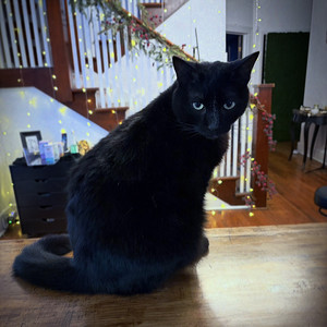 Tiny Mother’s Mix — cover art