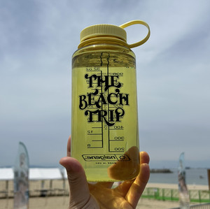 平井大 THE BEACH TRIP 2025 - playlist by chimoto | Spotify