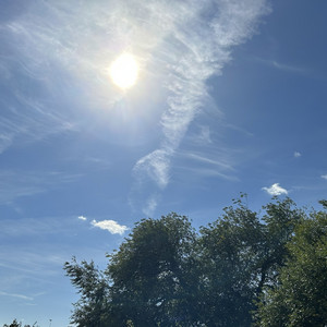 The Sentimentals  — cover art