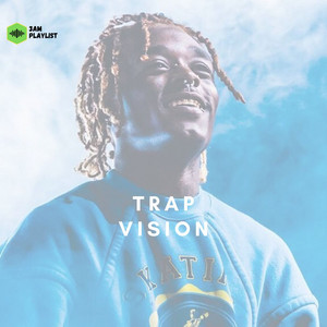 Trap Vision cover