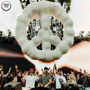 playlist image