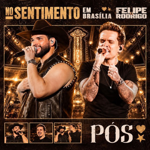 FELIPE E RODRIGO BOA NOITE VIDA - E AI CÊ ME LIGA - PÓS FELIPE E RODRIGO playlist cover