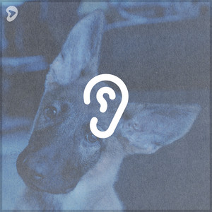 soundkulak playlist cover