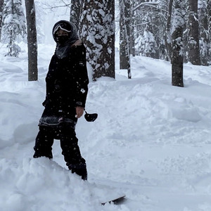 let the bodies hit the slopes Spotify playlist cover art