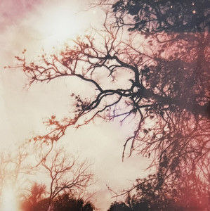 Psych Seeker cover