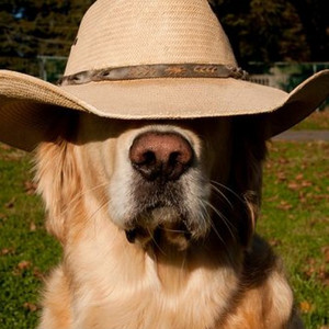 Country cover
