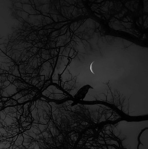 playlist by ♱ | Spotify
