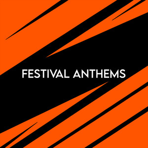  Festival Anthems House 🎪 Big Room Hits playlist cover
