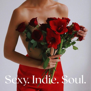 sexy music for indie folks cover