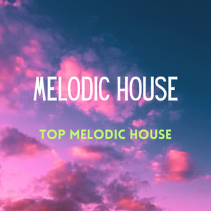 MELODIC HOUSE TOP SELECTION cover