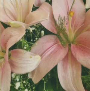 OUR very good playlist  — cover art