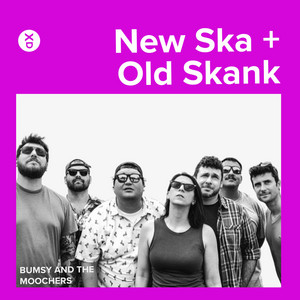 New Ska - Old Skank cover