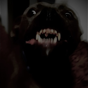 Rock songs that hit harder than North Korea   — cover art