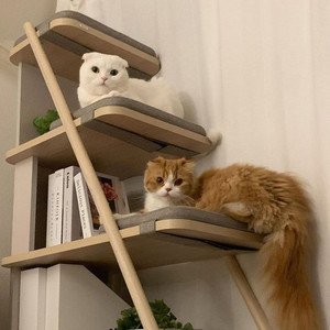 Release Radar Playlist By Wisp Spotify