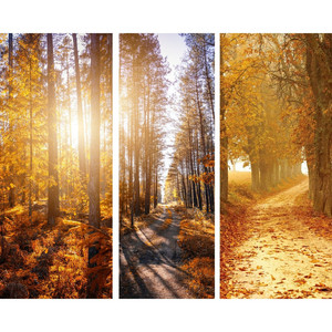 Peaceful Autumn Instrumentals