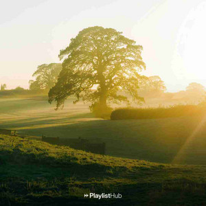 Sunday Sunrise cover
