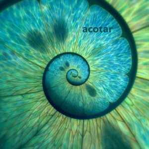 fantasy // acotar  cover