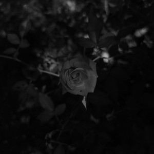 FEELZ - playlist by glitzz | Spotify