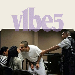 Cover art for playlist “vibecheck5”