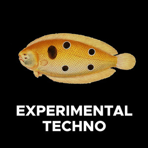 Experimental Techno cover