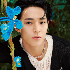 SEVENTEENTH HEAVEN: MINGYU - playlist by SEVENTEEN | Spotify