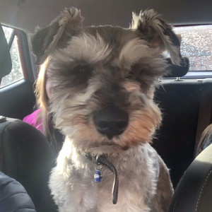 Jukebox Playlist By Macboyd Spotify