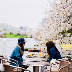 Tokyo City Cafe 日本 Coffee Shop