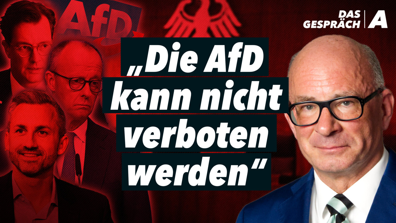 Verfassungsrechtler schlägt Alarm: „Diesen Weg vorzuschlagen ist verrückt“ – Prof. Boehme-Neßler
