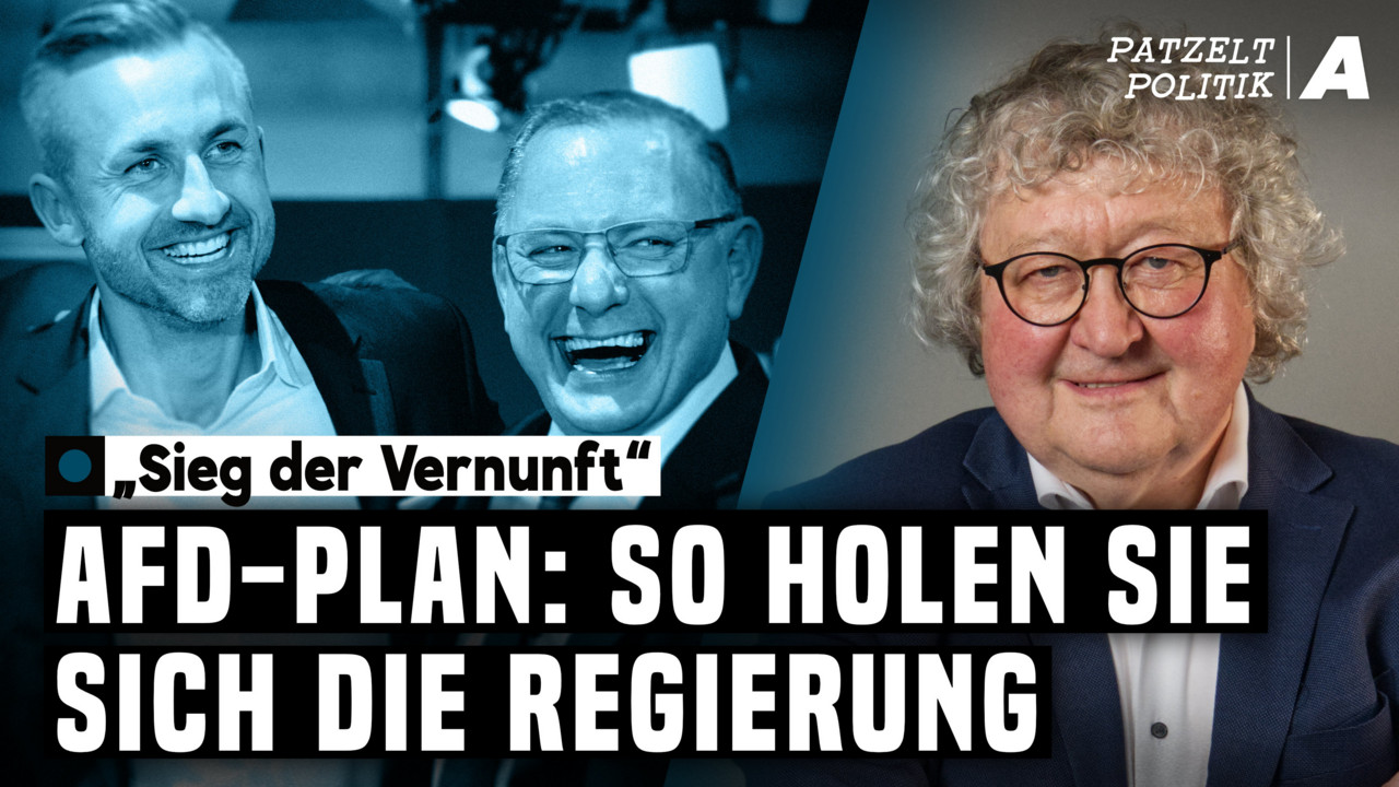 AfD greift nach der Macht: So könnte die Partei regieren – Patzelt Politik