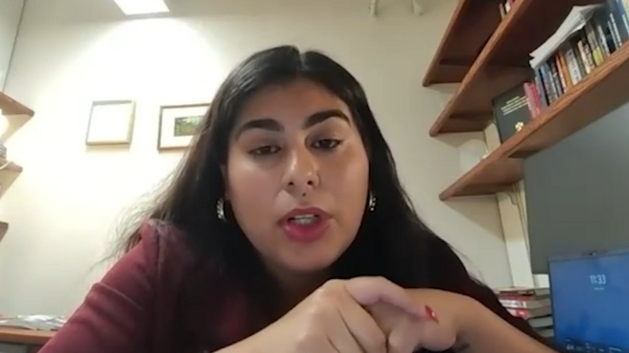 Felicia Arriaga: Interior immigration enforcement in the United States ...