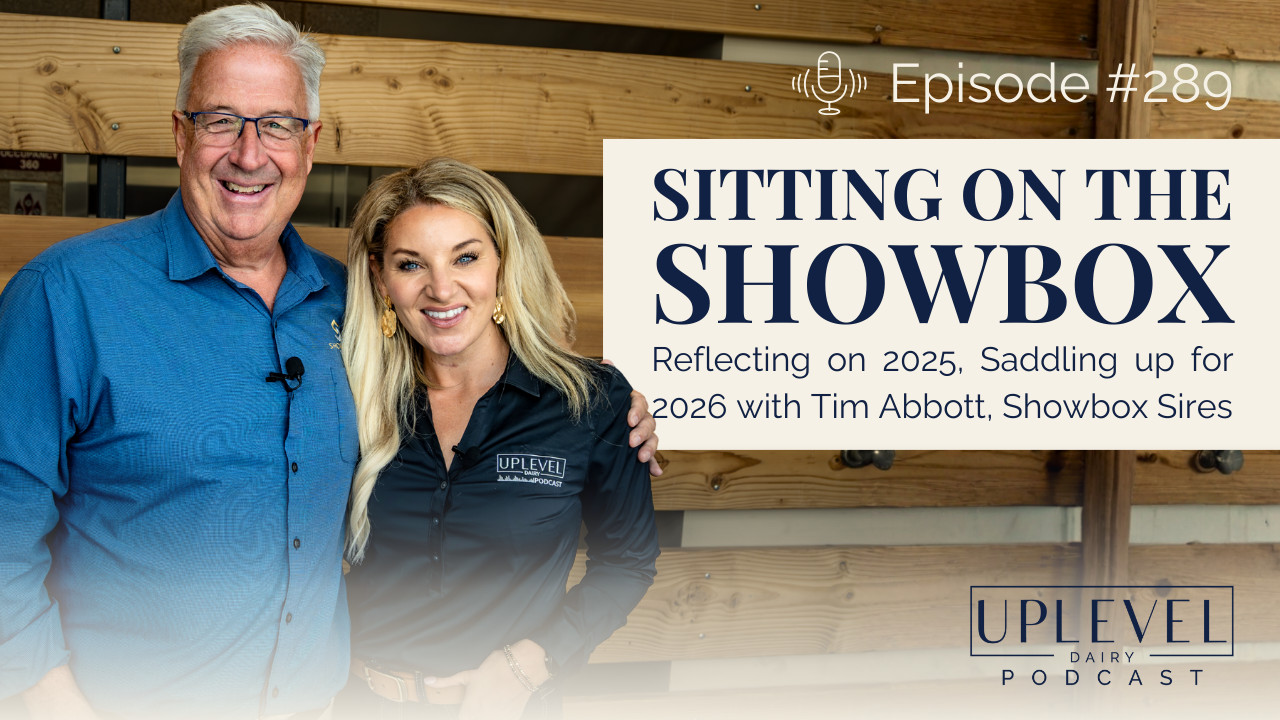 289 | Sitting on the Showbox with Tim Abbott: Reflecting on 2025 ...