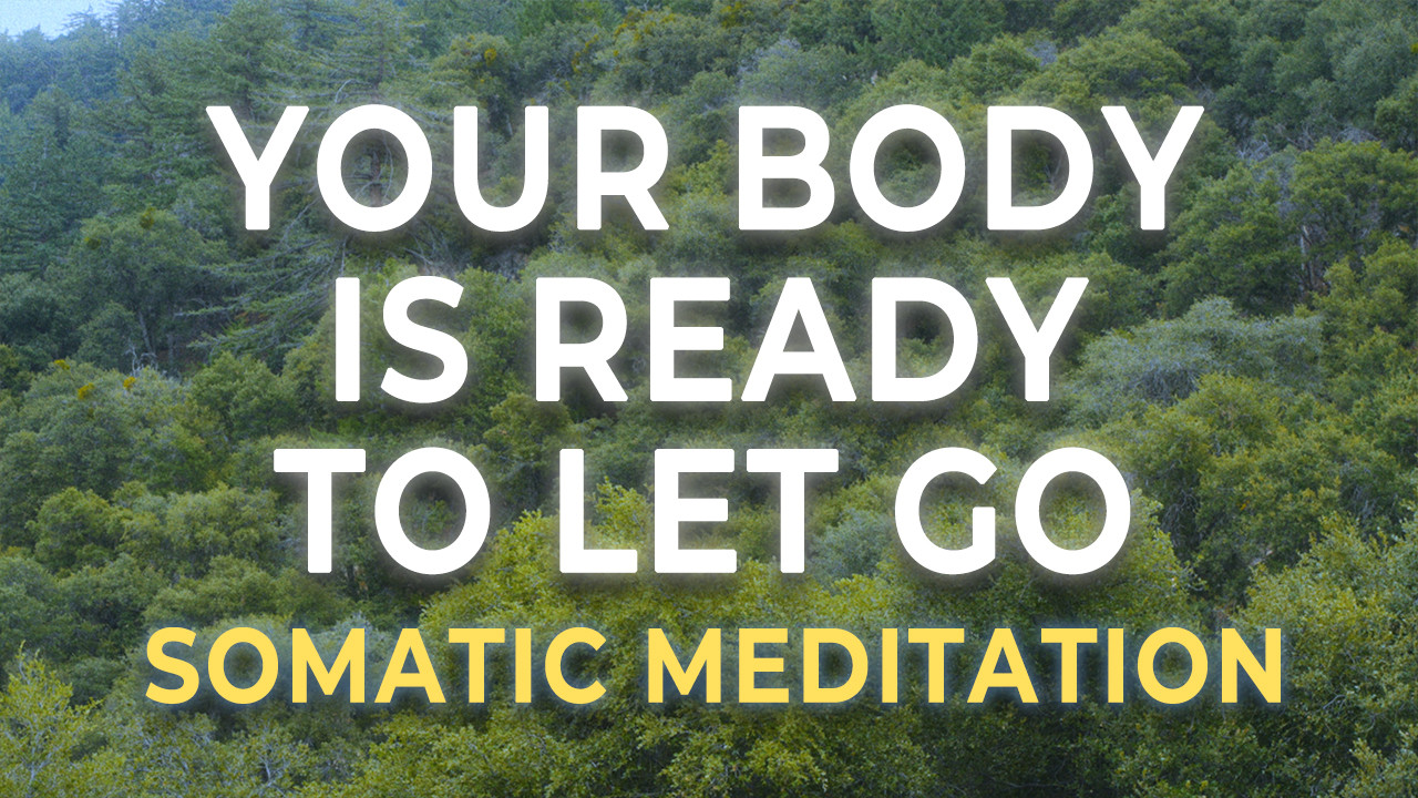 Release Trauma Stored in the Body | Somatic Trauma Healing Meditation ...
