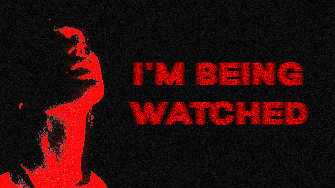 The Disturbing World of Gangstalking - Snook | Podcast on Spotify